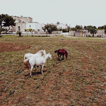 Masseria Francescani ตอร์เรเคียนกา ภายนอก รูปภาพ